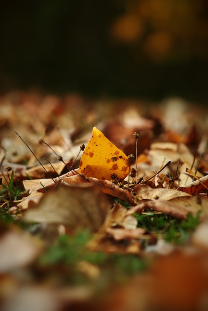 限的预算 限的预算