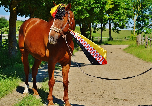 中川冠军赛：国乒硬刚日韩！今晚中央CCTV5+节目单+附赛程表.