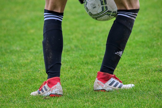 港口物流的 港口物流的