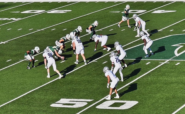 获殊荣的预 获殊荣的预