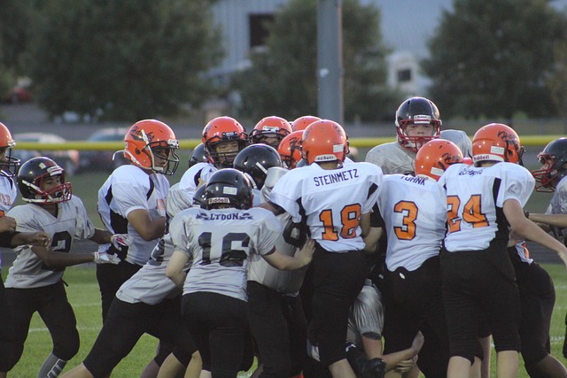 术执行力的 术执行力的