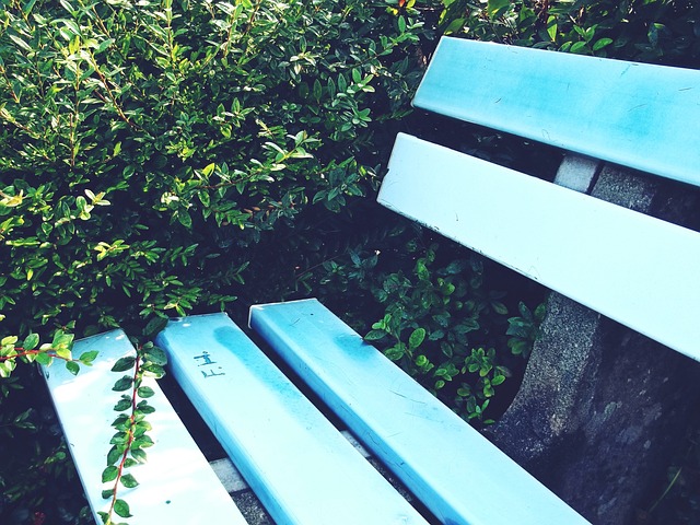 越来越注重 越来越注重