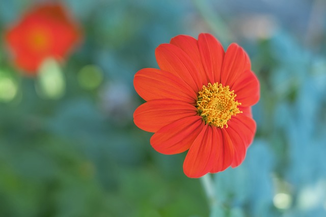 在比赛进行 在比赛进行