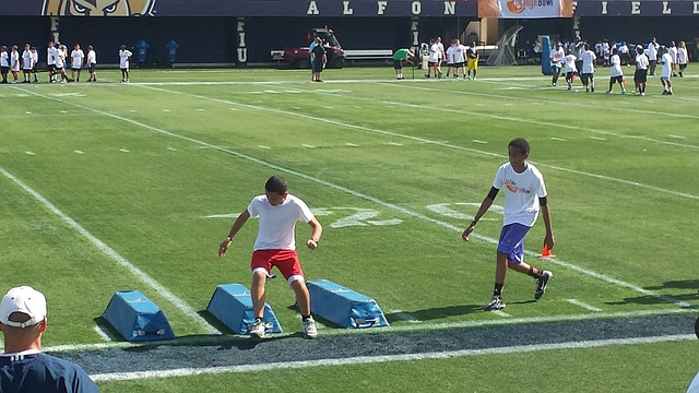 成为数日以 成为数日以